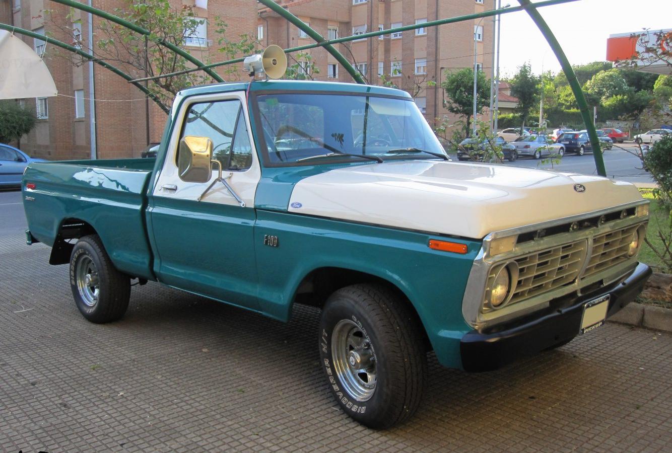 Ford F-Series F-100 VI Regular Cab