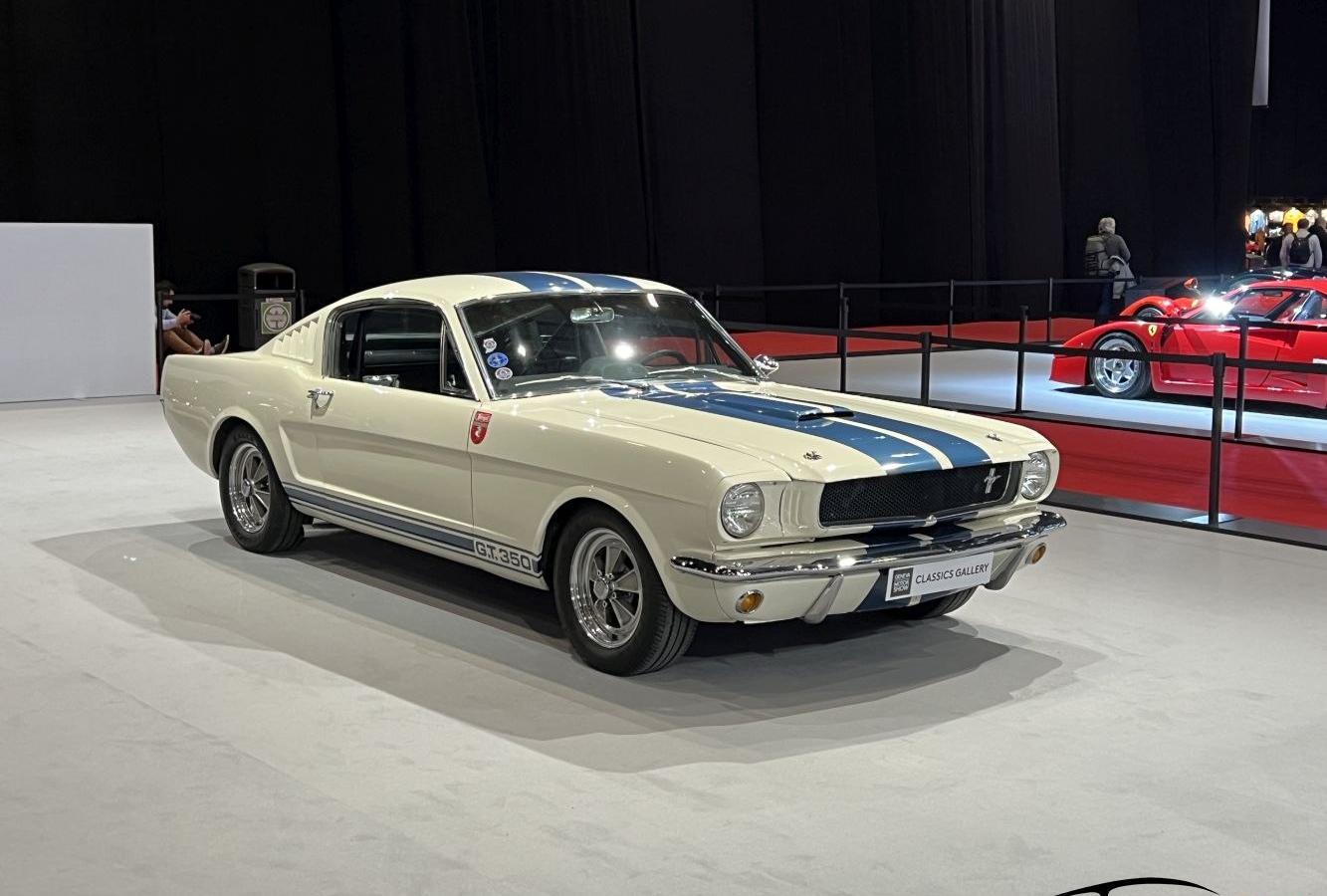 Ford Shelby I