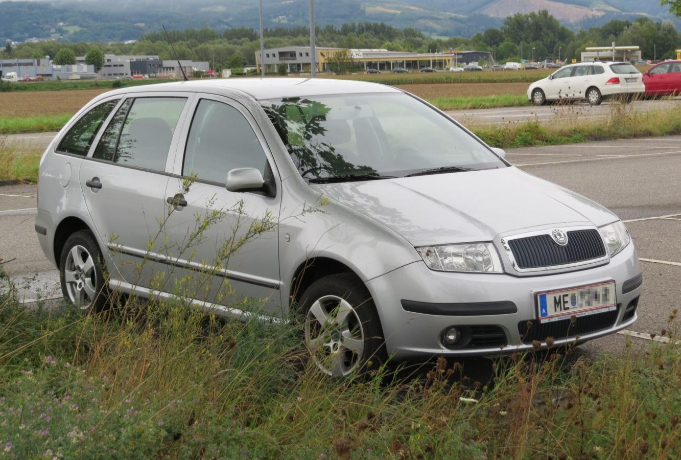 Skoda Fabia I Combi (6Y, facelift 2004)