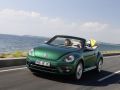 Beetle