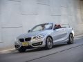 BMW 2 Serisi Cabrio (F23)