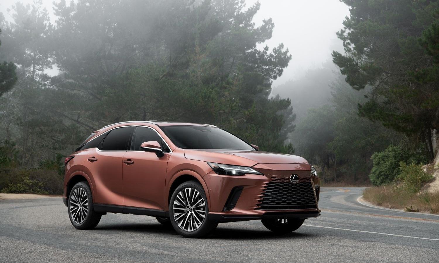 Lexus RX V