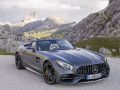 Mercedes-Benz AMG GT Mercedes-Benz AMG GT Roadster (R190)