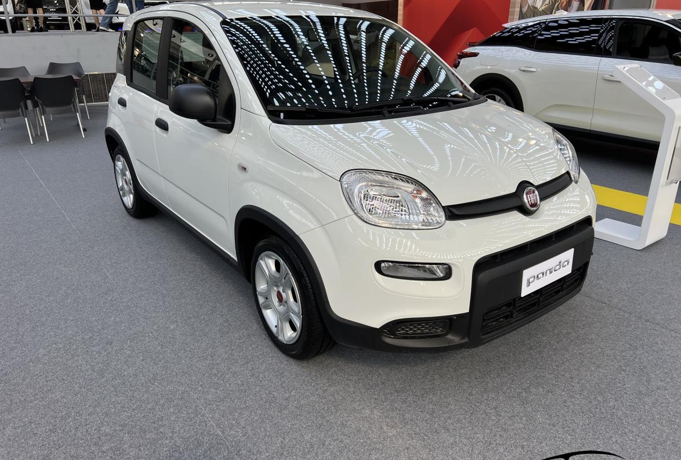 Panda